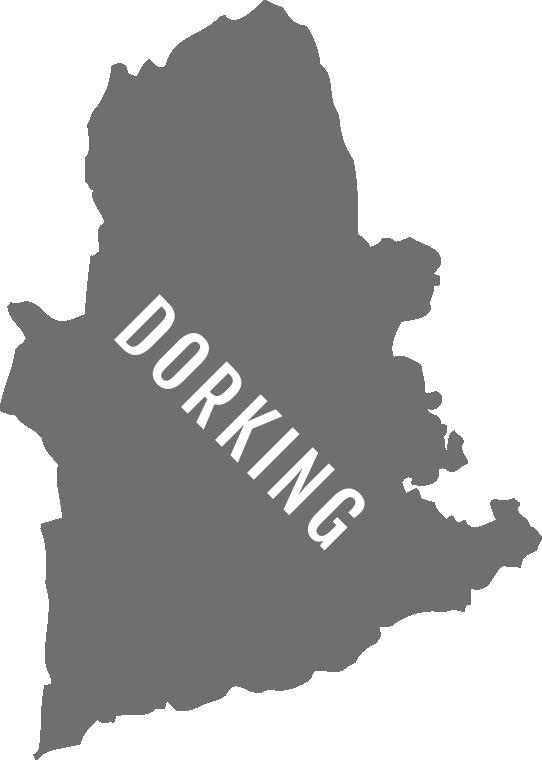 Dorking-Borough-Map-Icon