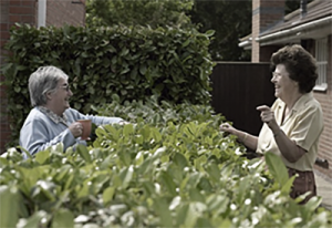 image of neighbours talking over a hedge with tea for article: planning consultant v architect