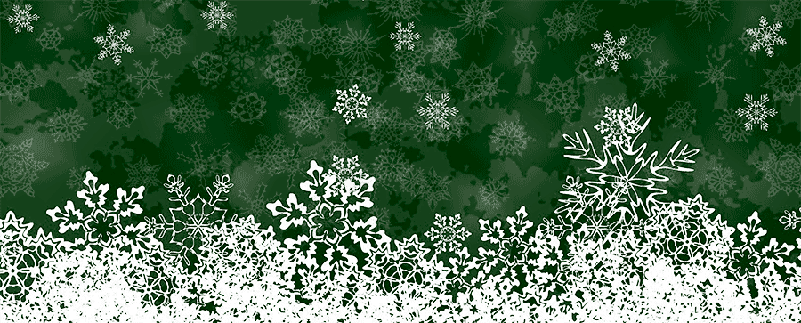 snowFLAKE-image FOR WINTER PROMOTION BLOG