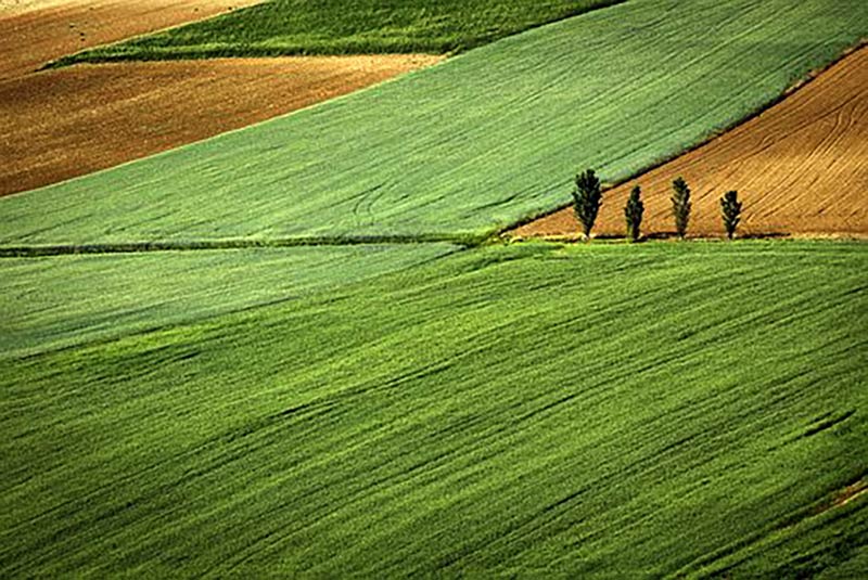 photo of field for blog on land with planning permission