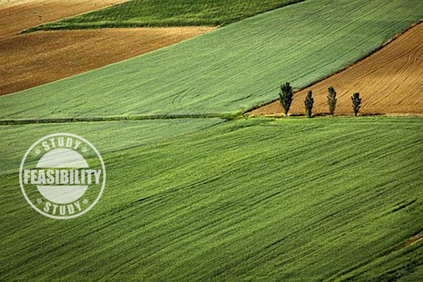 agricultural land shot with feasibility stamp for blog on Feasibility Study