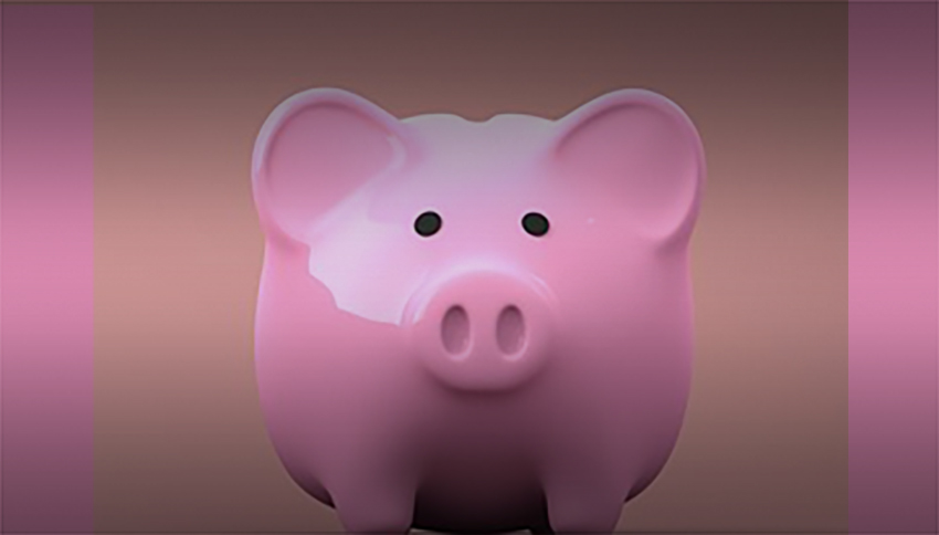 image of piggy bank for value section on our blog on find an architect
