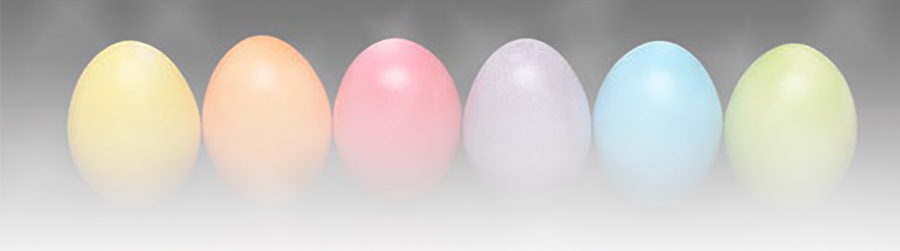 row of eggs image on Spring Offer - Ends 31st March 2018