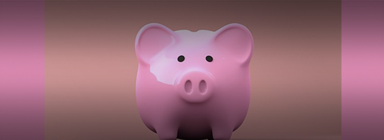 piggy bank image for Saving Costs on Construction