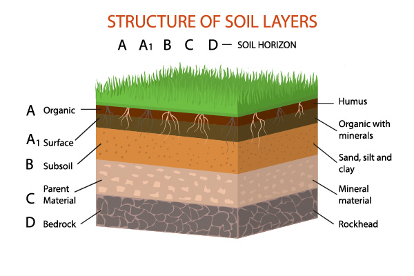 Structure of soil types
