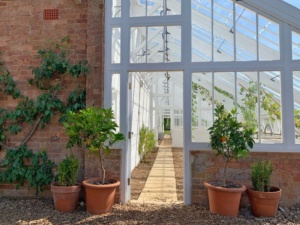 Orangery Roofs Design