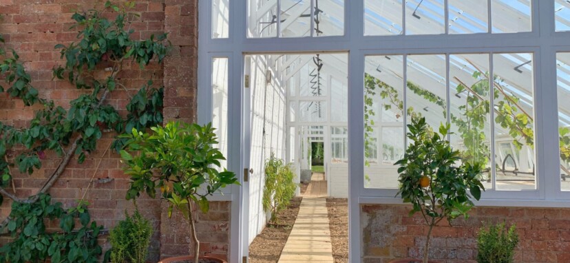 Ultimate Orangery Kitchen Extension Guide